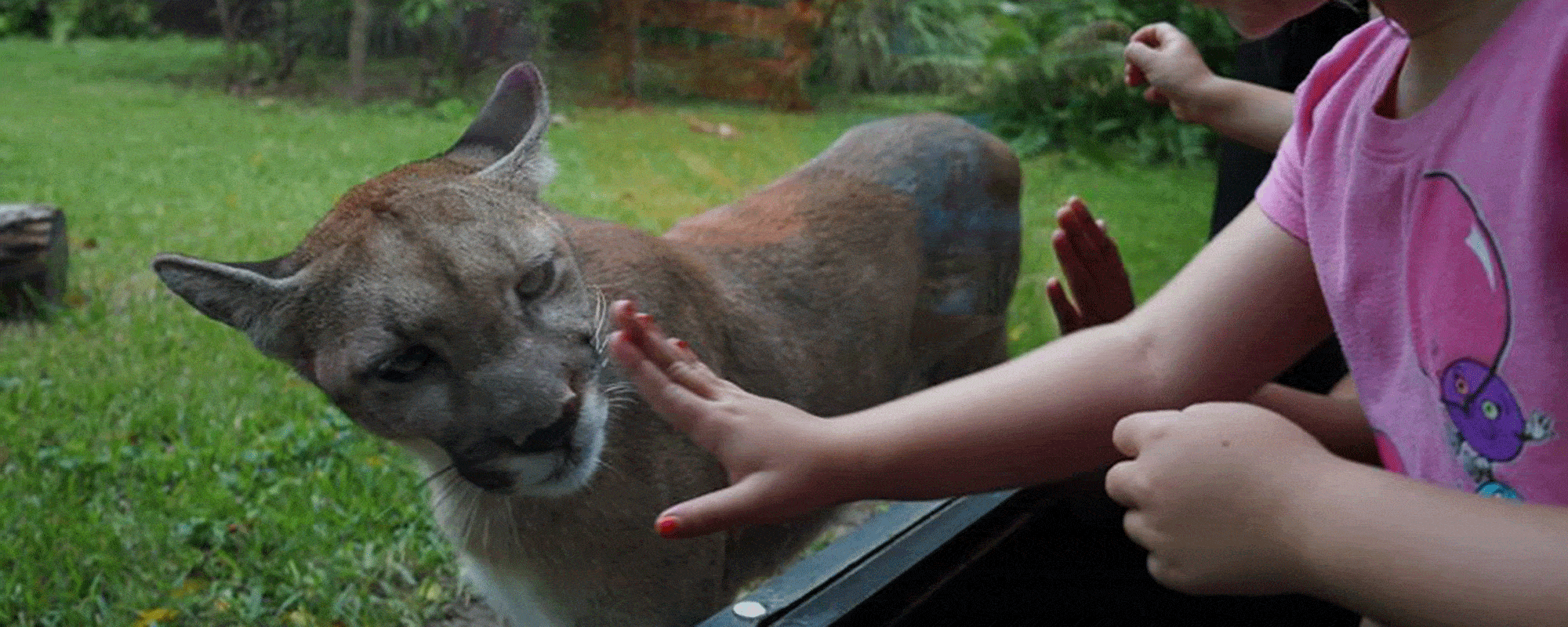 living desert - gifts that give back