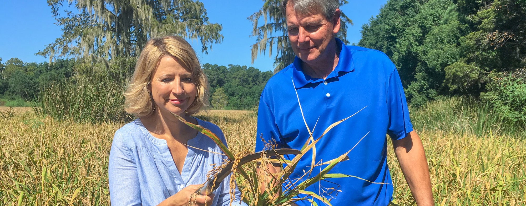 Charleston Places to Love - Samantha Brown