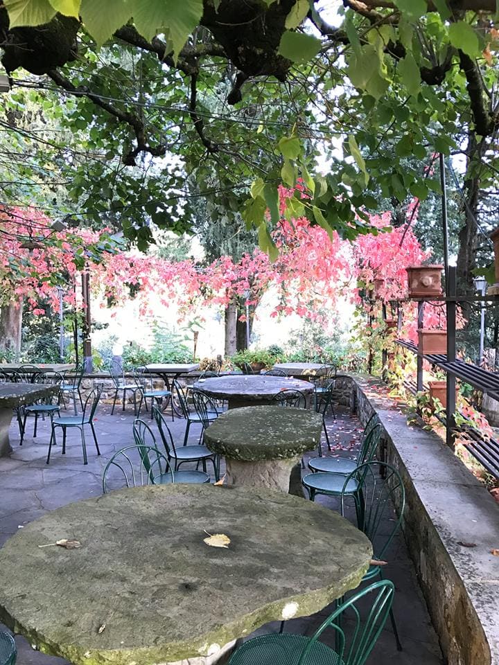 dine like a local in Tuscany